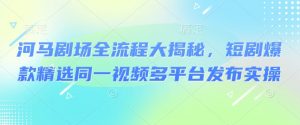 河马剧场全流程大揭秘，短剧爆款精选同一视频多平台发布实操-网创星球
