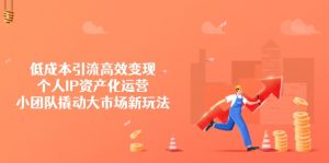 低成本引流高效变现，个人IP资产化运营，小团队撬动大市场新玩法-网创星球