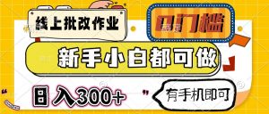 线上批改作业 0门槛 新手小白都可做 日入300+ 有手机即可-网创星球