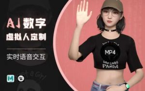 Ai数字人虚拟(智能体)实时语音交互特训营，​自行定制超写实角色AI数字人交互技术-网创星球