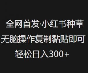 全网首发，小红书种草无脑操作，复制黏贴即可，轻松日入3张-网创星球