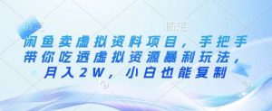 闲鱼卖虚拟资料项目，手把手带你吃透虚拟资源暴利玩法，月入2W，小白也能复制-网创星球