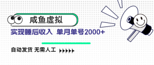 咸鱼虚拟资料 自动发货 无需人工 单月单号2000+-网创星球