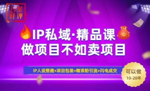 2025年“IP私域·密训精品课”，日赚3000+小白避坑年赚百万，暴力引流...-网创星球