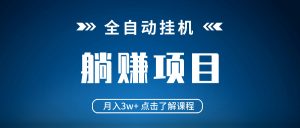 全自动挂机项目 月入3w+ 真正躺平项目 不吃电脑配置 当天见收益-网创星球